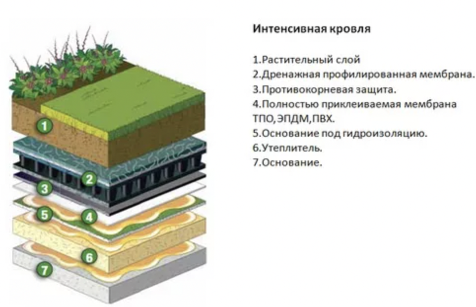 Зеленая крыша технология устройства травяной кровли - утепление своими руками от а до я