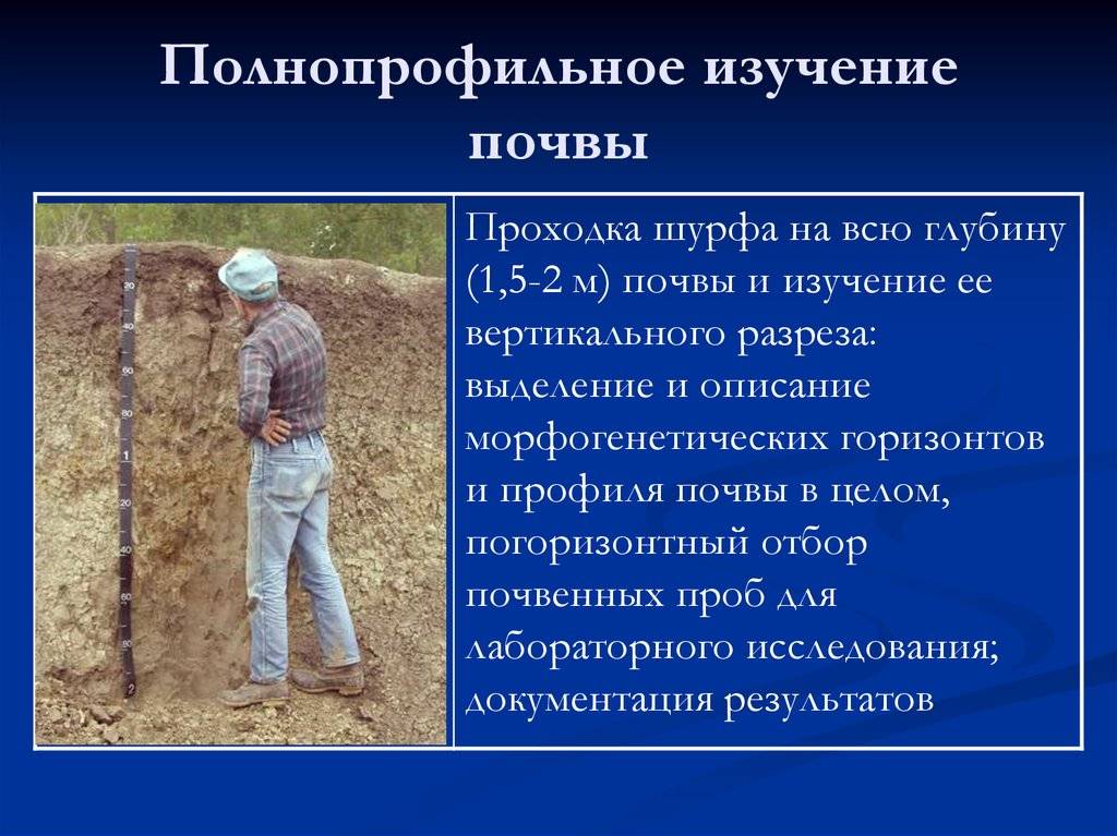 Анализ грунта под фундамент — цели проведения и особенности полевых исследований
