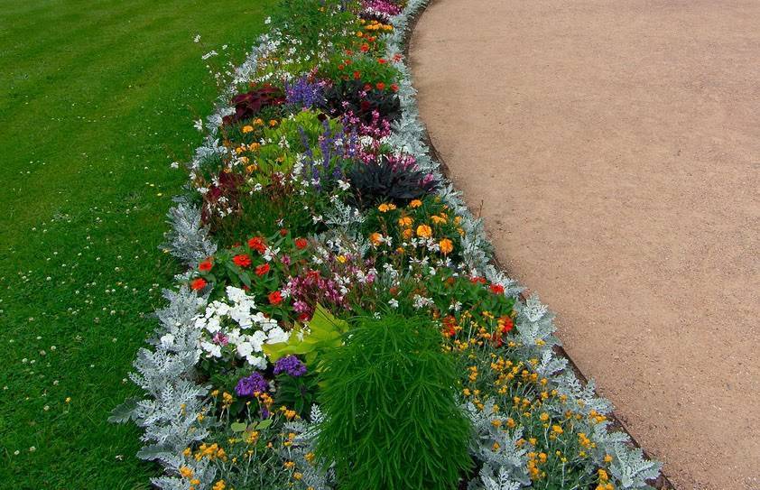 Клумбы рабатки в ландшафтном дизайне сада – оформляем красивый цветник на дачном участке