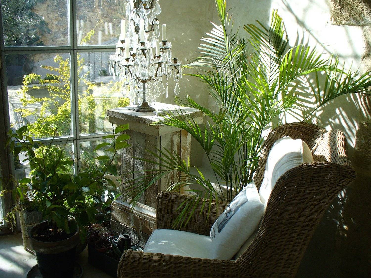 Делаем зимний сад на балконе своими руками: 13 фото
