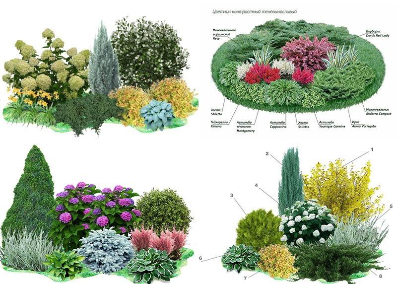 Миксбордер своими руками: схемы подбора растений, фото дизайна, советы по проектированию и посадке