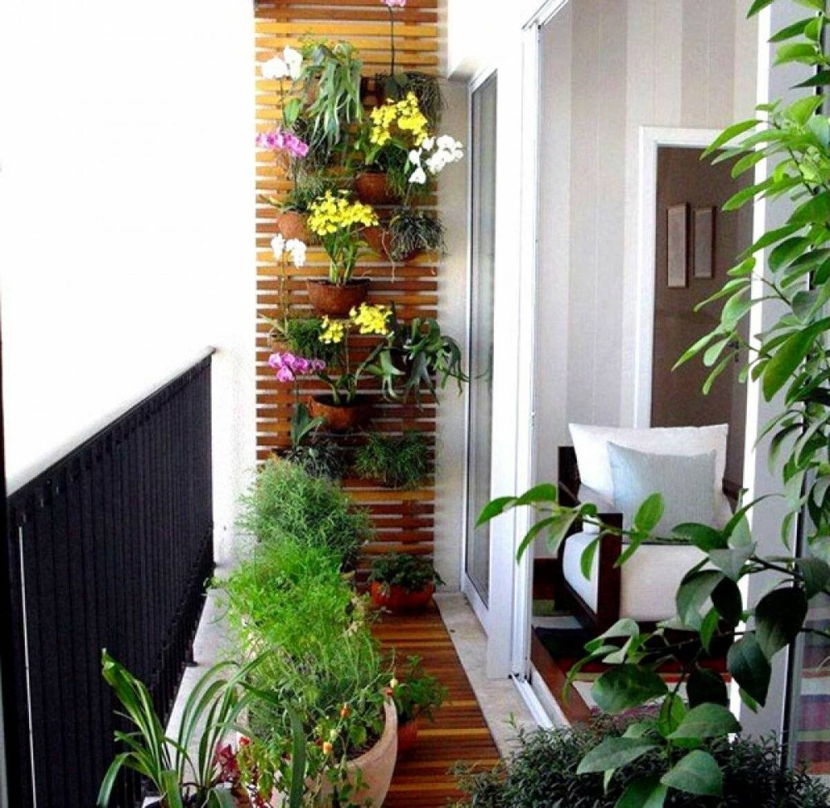 Зимний сад на балконе: своими руками в квартире с фото
