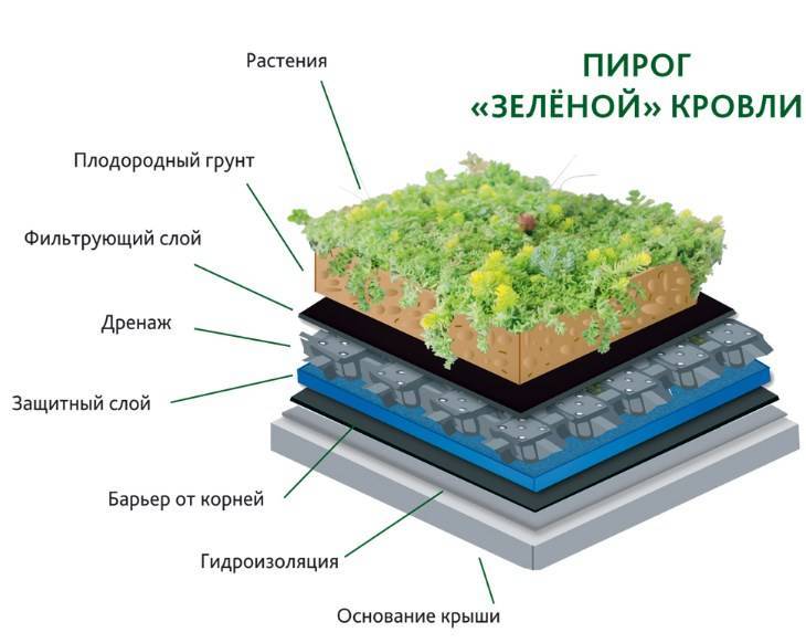 Как сделать зелёную крышу на доме или даче - пошаговая инструкция