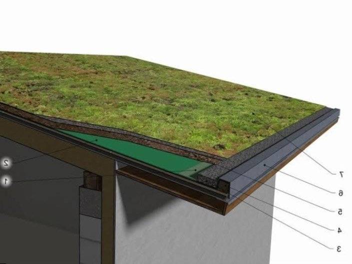 Зеленые крыши — преимущества и недостатки установки