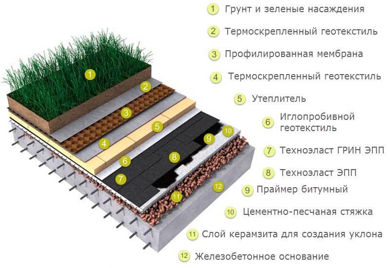 Озеленение крыш домов своими руками. способы озеленения крыши
