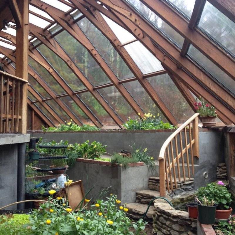 Нюансы обустройства зимнего сада на даче: конструкция, растения, микроклимат