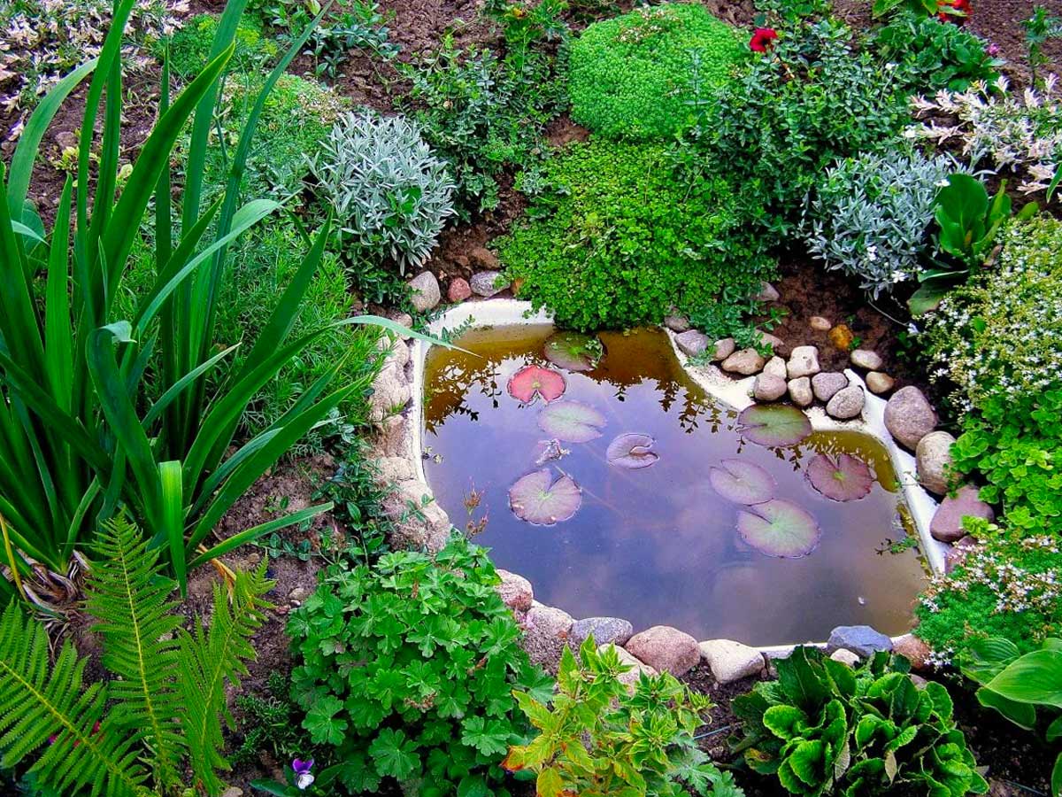 Стройремонтдекоративный садовый дачный пруд: фото, видео, как сделать, обустроить своими руками искусственный водоем на участке