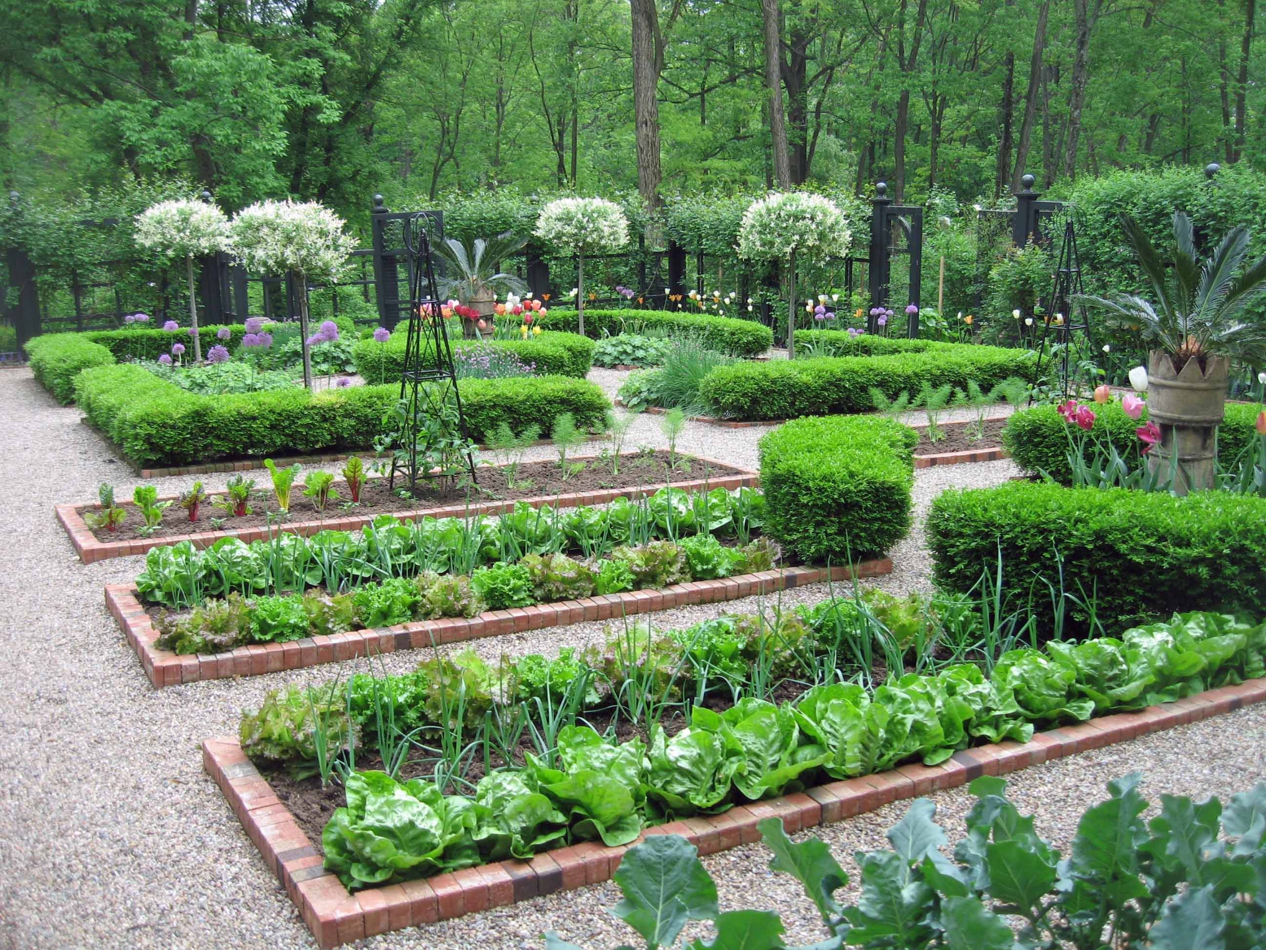 Ландшафтный дизайн садового участка своими руками: с чего начать