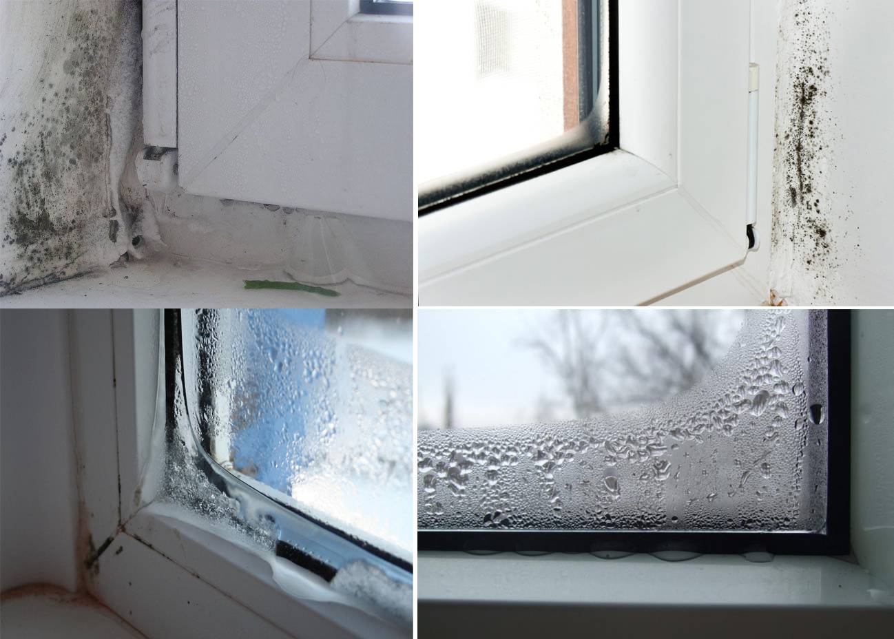 Что делать если потеют окна в доме? причины, способы решения