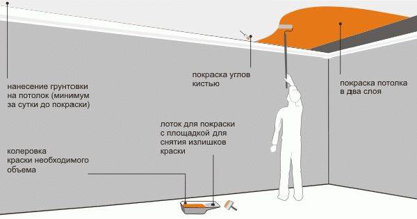 Грунтовка потолка перед покраской: пошаговая инструкция для новичков